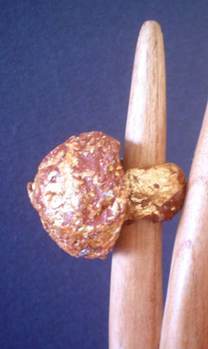 anello fungo,papier machè.